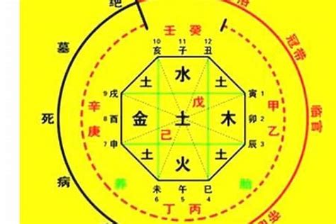 喜土命|如何看出八字喜土 (如何判断八字喜什么五行)